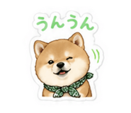 845550748