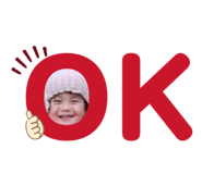 845551146