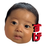 845551185