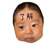 845551186