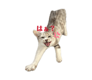 845551220