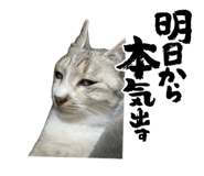 845551225