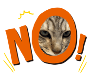 845551232