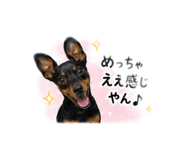 845551367