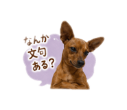 845551368