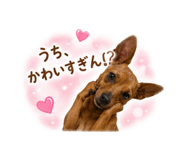 845551374