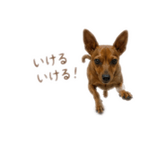 845551377