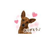 845551379