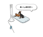 845551383