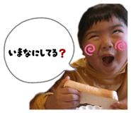 845551692