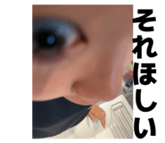 845551917