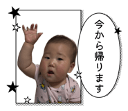 845551981