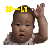 845551982
