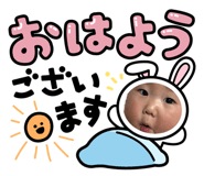 845551991