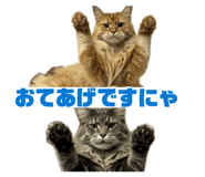 845552153