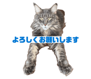 845552154