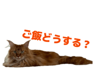 845552158