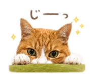845552358