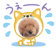 845552536
