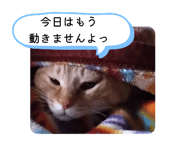 845553105