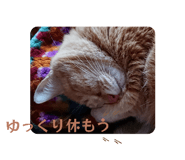 845553110