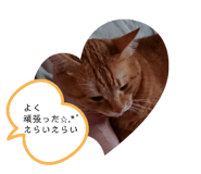 845553119