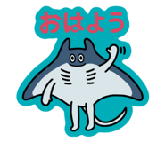 845553314