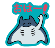 845553316