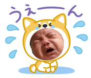 845553368