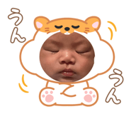 845553373
