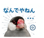845553377