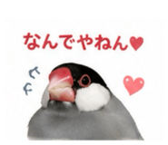 845553379