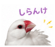 845553380