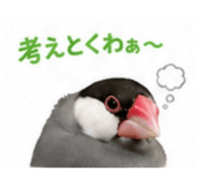 845553382