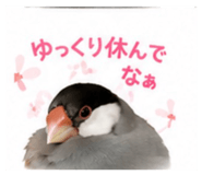 845553383