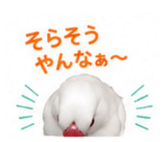845553390