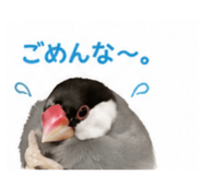 845553394