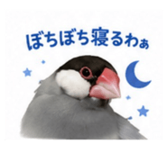 845553395