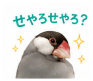 845553396