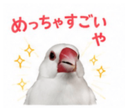 845553397