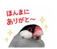 845553402