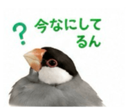 845553406