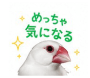 845553408