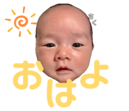 845553422