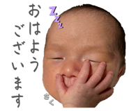 845553429