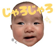 845553430