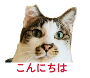 845553490