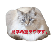 845553493