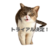 845553494