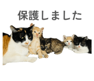 845553495